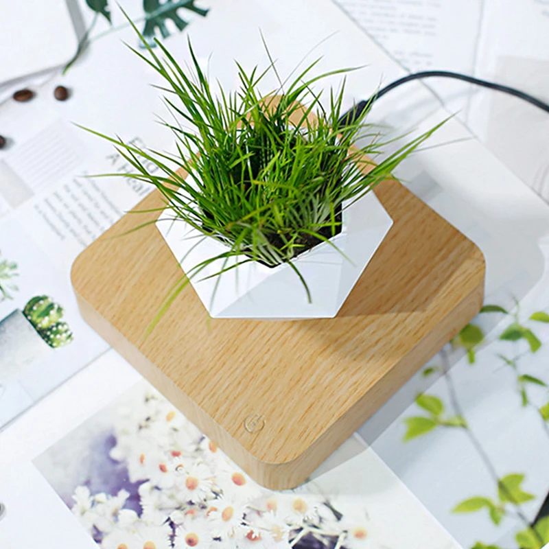 Levitating flower pot - Maison Déco Lumière