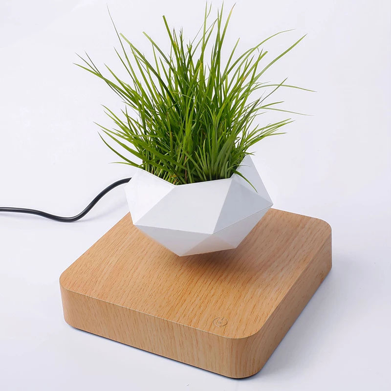 Levitating flower pot - Maison Déco Lumière